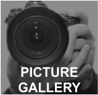 Picture Gallery
